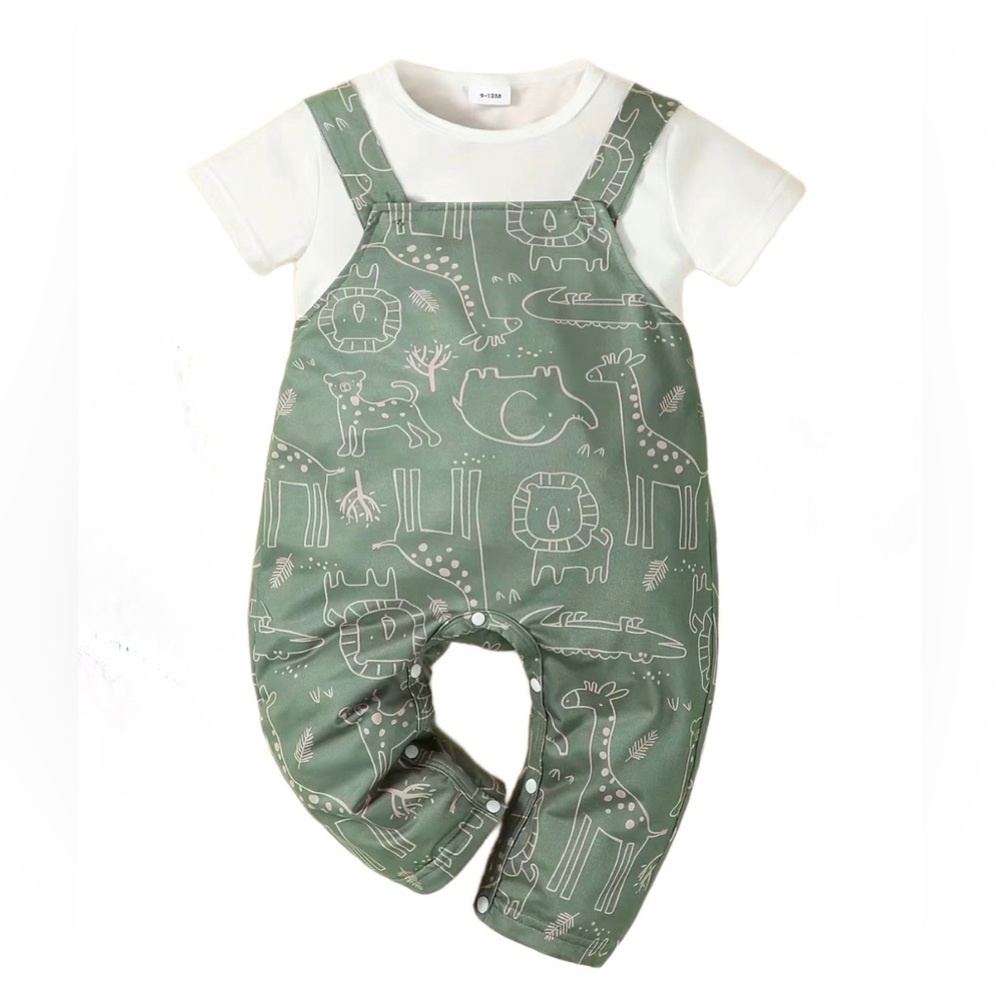 Boys Dinosaur Overall Outfit With T-shirt